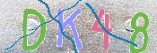 キャプチャ画像